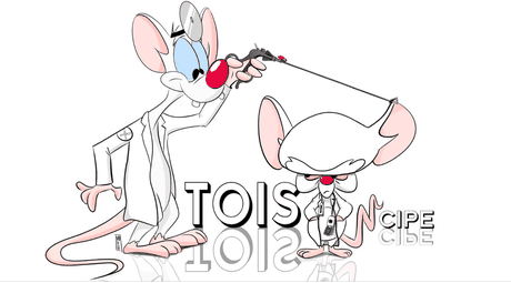 Toiscipe